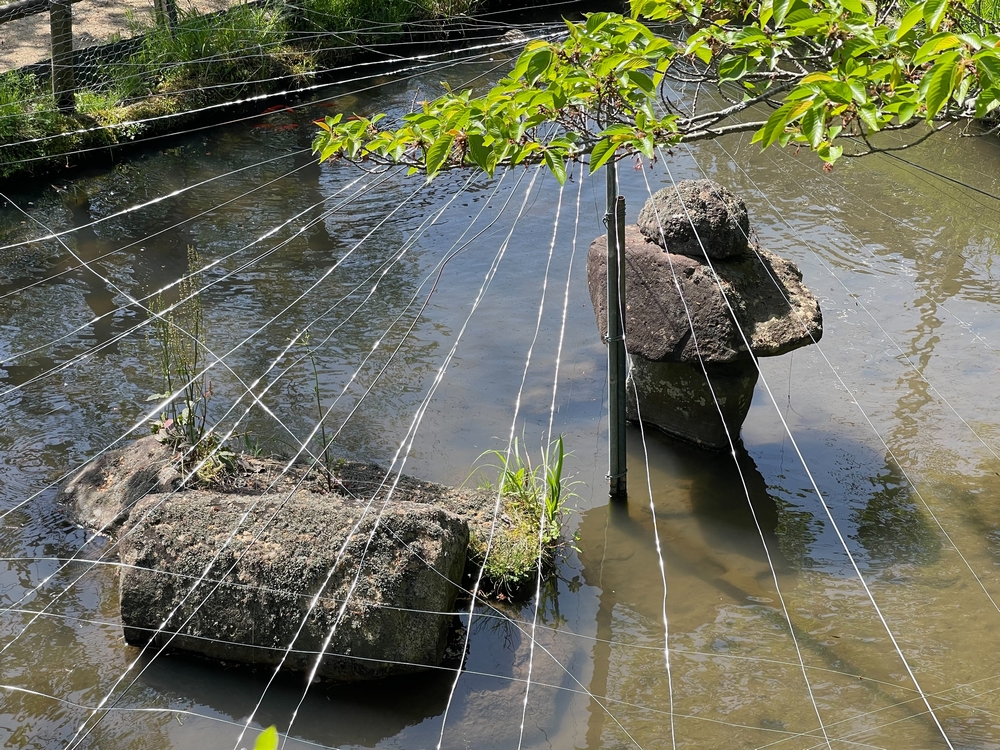 城床ふるさと公園１